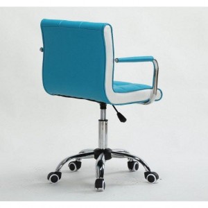  Master's chair HC-811K black Turquoise