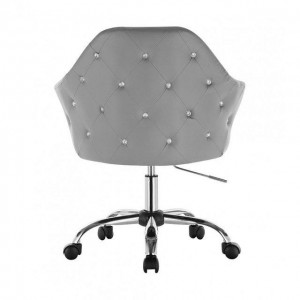 Master's chair NS 547K Gray