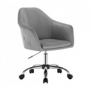 Master's chair NS 547K Gray