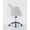 Master's chair NS 831K White, 4338, Chairs on wheels,  Health and beauty. All for beauty salons,Furniture ,  buy with worldwide shipping