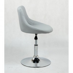Barber chair HC 1054N Grey