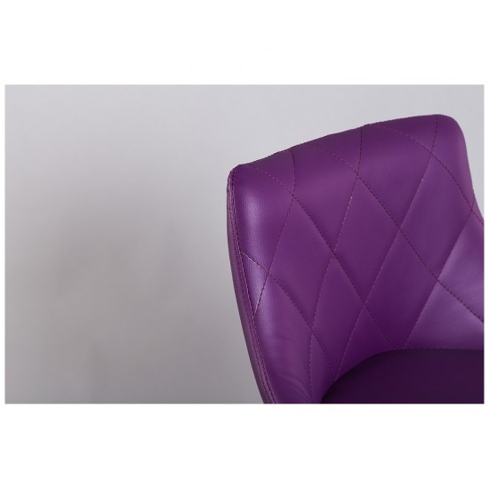 Кресло парикмахерское HC 1054N Фиолетовый, 6289, Стулья на низкой базе,  Красота и здоровье. Все для салонов красоты,Мебель ,  купить в Украине