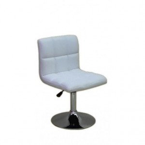  Fauteuil de coiffure HC-8052N Blanc