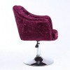 Cadeira de cabeleireiro HC 830N Violet velour-6368-Поставщик-Poltronas de mestres