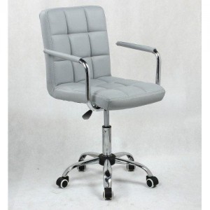  Master's chair NS 1015KR Gray