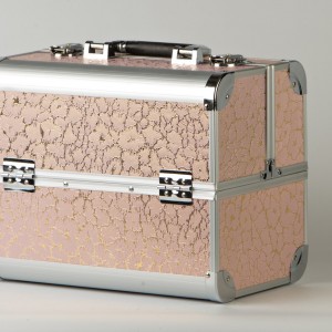  Beauty master's case