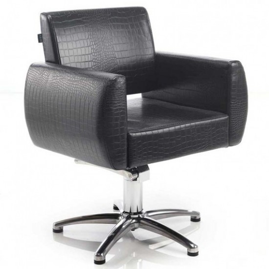 Sillón de barbero ENTONI-4680-Поставщик-Sillones de maestros