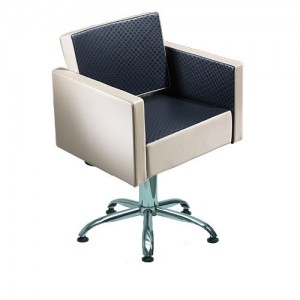 Fauteuil de coiffure MEGAN Hydraulics China, Disc, Yes, Yes