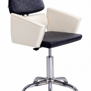 Hairdressing chair TERESA Pneumatic, Disc, Yes, No