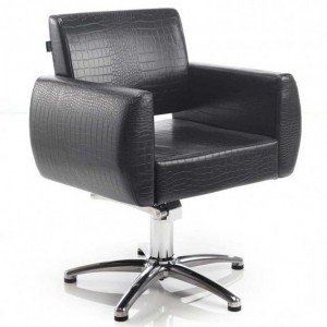 Fauteuil de coiffure ENTONI Hydraulics China, Disc, Yes, Yes