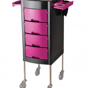 Fuchsia kappersassistent