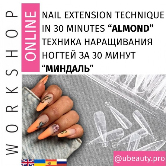 The course of Polygel and the technique of building up in 30 minutes on the upper form of ALMONDS-2968-Workshop Ubeauty-Beauty and health. Everything for beauty salons
