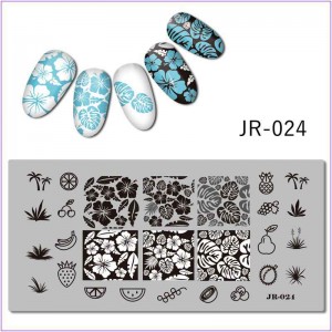 JR-024 Nail Printing Plate Fruit Grape Pear Berries Leaves Palm Grass Cherry Pineapple