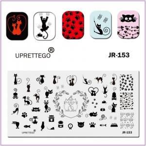 JR-153 Placa de impresión de uñas Cat Cat Mouse Paws Pescado Medalla enlatada Comida