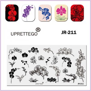 JR-211 Placa de Estampagem de Unhas Ramo de Orquídea Folhas de Broto de Orquídea