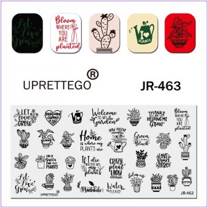 JR-463 Placa de impresión de uñas Regadera de cactus Planta casera Maceta Hojas verdes Estampado de uñas