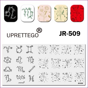 Пластина для друку на нігтях JR-509, знаки зодіаку, зірки, Овен, Телець, Близнюки, Рак, Лев, Діва, Терези, Скорпіон, Стрілець, Козеріг, Водолій, Риби