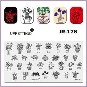  JR-178 Plaque d'impression pour nail art Plantes en pot Pot de fleurs Fleurs dans un vase Cactus Violettes Ficus