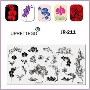 Пластина для друку на нігтях JR-211, стемпінг на нігтях, орхідея, гілка, бутон орхідеї, листя