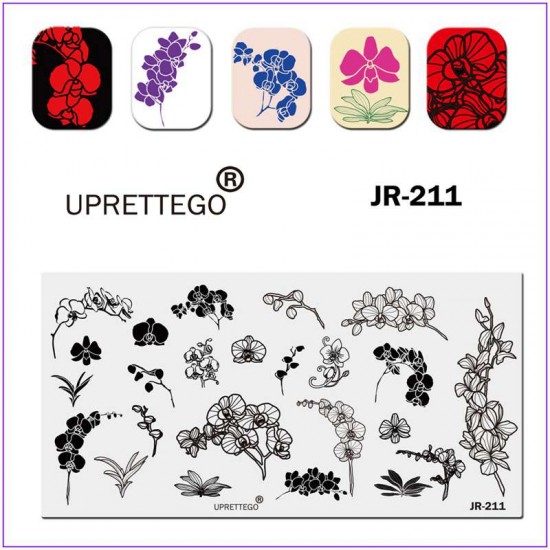 JR-211 Nail Stamping Plate Orchid Branch Orchid Bud Leaves