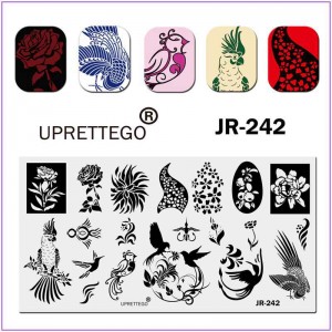 JR-242 placa de estampagem de unhas, placa de estampagem, papagaio, andorinha, rosa, flores, pássaros, monogramas