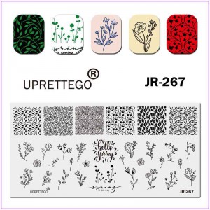 Пластина для печати на ногтях JR-267, стемпинг на ногтях, цветочные орнаменты, узоры, нежные цветочки, весна