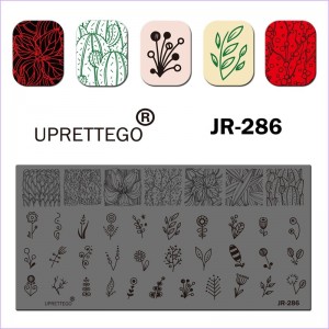 JR-286 Nail Stamping Plate Cactus Delicate Flowers Circles Patterns Plant Ornaments