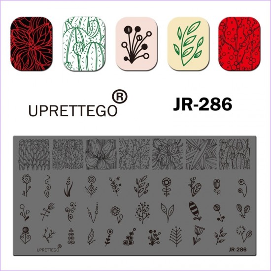 JR-286 Placa de Estampagem de Unhas Cacto Flores Delicadas Padrões de Círculos Ornamentos de Plantas