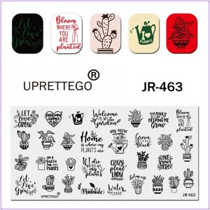 Пластина для печати на ногтях JR-463, кактус, лейка, домашнее растение, вазон, зелень, листья, стемпинг для ногтей