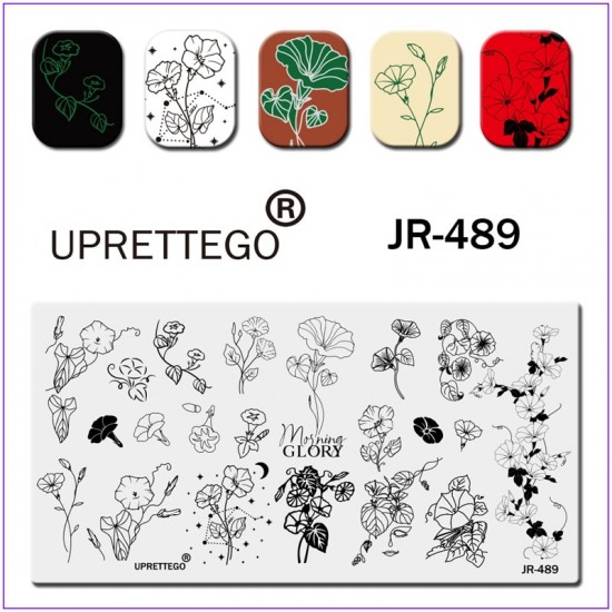 Пластина для печати на ногтях JR-489, цветы, листья, колокольчики, точки, стемпинг на ногтях
